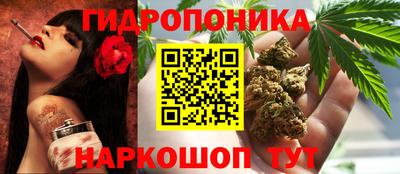 гидропоника Дубна