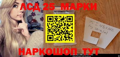 гидропоника Дубна